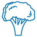 Broccoli icon