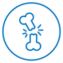 Broken bone icon