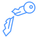 Broken key icon