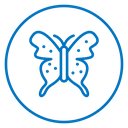 Butterfly icon