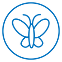 Butterfly icon