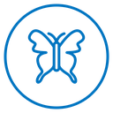 Butterfly Color Outline icon