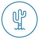 Cactus 2 icon