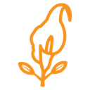 Calla icon