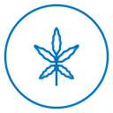 Cannabis 2 icon