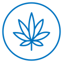 Cannabis Leaf Color Outline icon