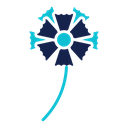 Carnation icon
