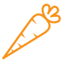 Carrot icon