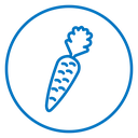 Carrot 2 icon