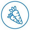 Carrot 6 icon