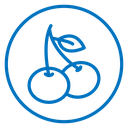 Cherry icon