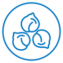 Chickpea icon