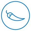 Chilli pepper icon