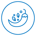 Chilli Pepper Spice icon