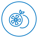 Citrus 4 icon