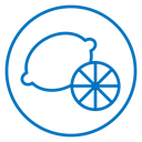 Citrus icon
