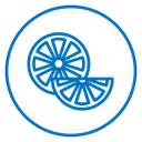 Citrus fruit icon