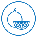 Citrus fruit icon