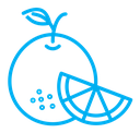 Citrus fruit icon