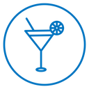 Citrus Martini glass icon