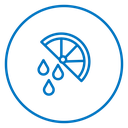 Citrus slice icon