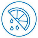 Citrus slice icon