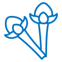 Cloves icon