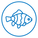 Clownfish icon