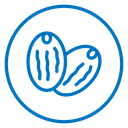 Cocoa Beans icon