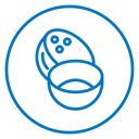 Coconut icon
