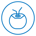 Coconut drink icon