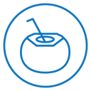 Coconut drink icon