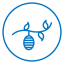 Cocoon 2 icon