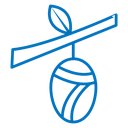 Cocoon icon