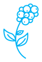 Coffee plant icon