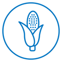 Corn 2 icon