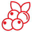 Cranberry icon