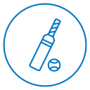 Cricket 2 icon