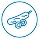 Cucumber icon