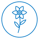 Daffodil icon