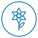 Daffodil icon