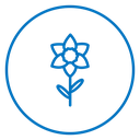Daffodil Flower icon