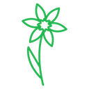 Daffodil Single Stem icon