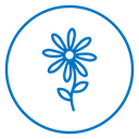 Daisy Flower icon