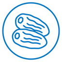 Date fruit icon