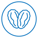 Date fruit icon