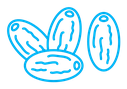 Date fruit icon