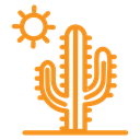 Desert cactus icon