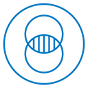 Diagram venn 2 icon