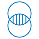 Diagram venn 2 icon